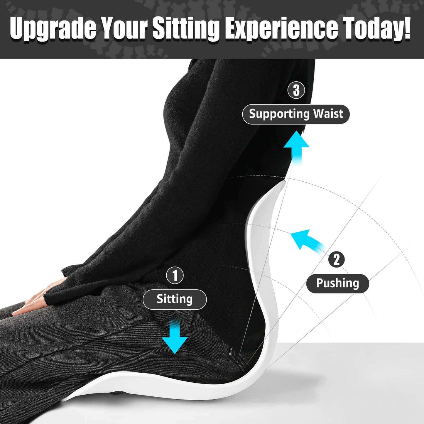Ergonomic Back Support, Posture-Correcting Lumbar Support (Regular)