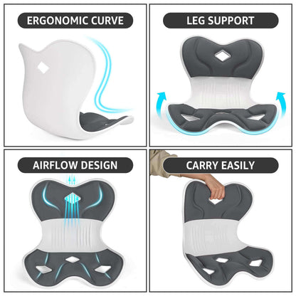 Ergonomic Back Support, Posture-Correcting Lumbar Support (Regular)