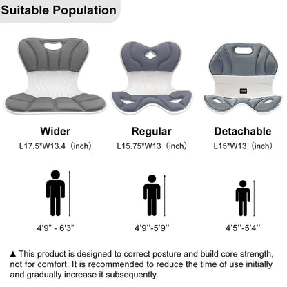 Ergonomic Back Support, Posture-Correcting Lumbar Support (Regular)