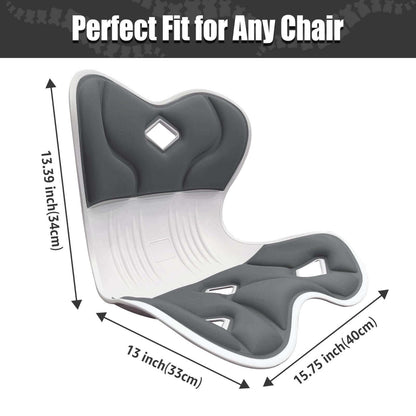 Ergonomic Back Support, Posture-Correcting Lumbar Support (Regular)