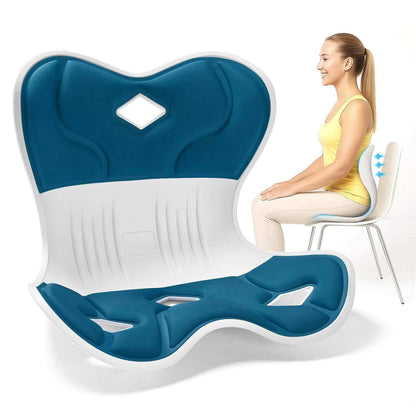 Ergonomic Back Support, Posture-Correcting Lumbar Support (Regular)